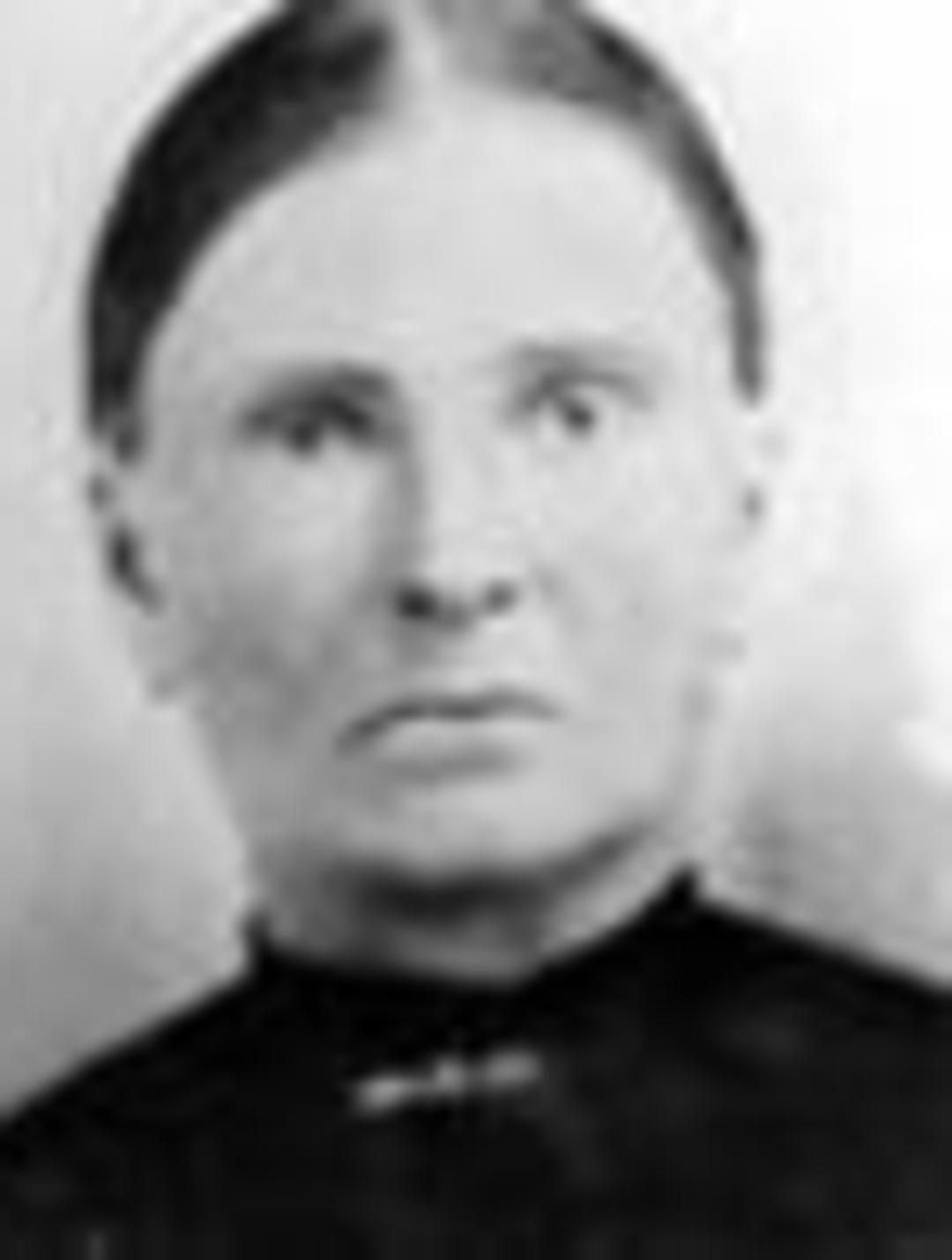 Tryisha Ann Beeler (1843 - 1929) Profile